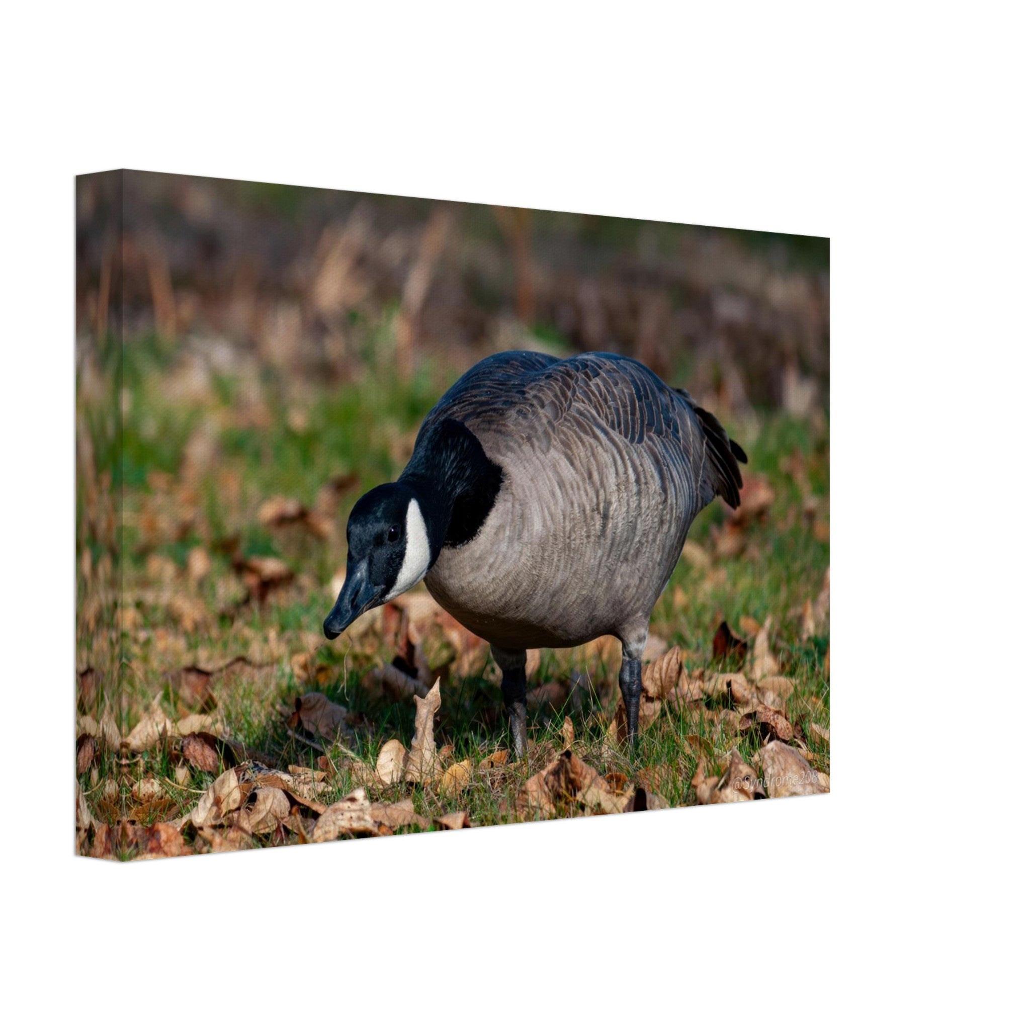 0e0d896d-123d-4378-8dfa-83c9982a1431