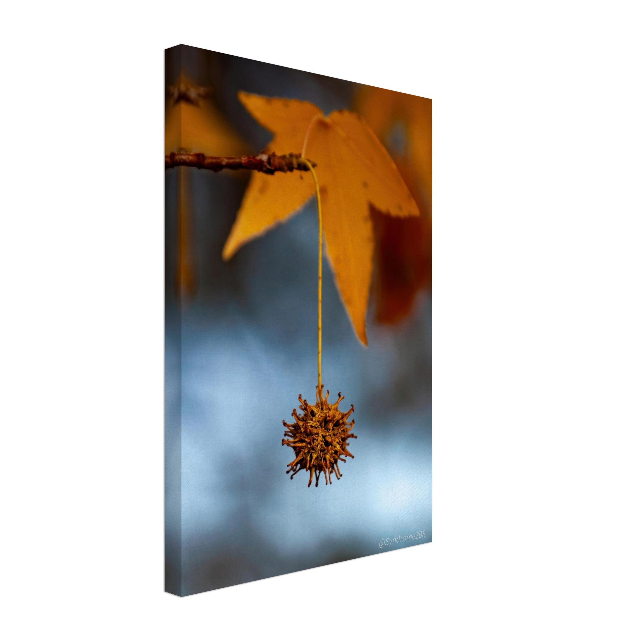 13a97412-7f6e-433f-a254-c7367b7c8c94