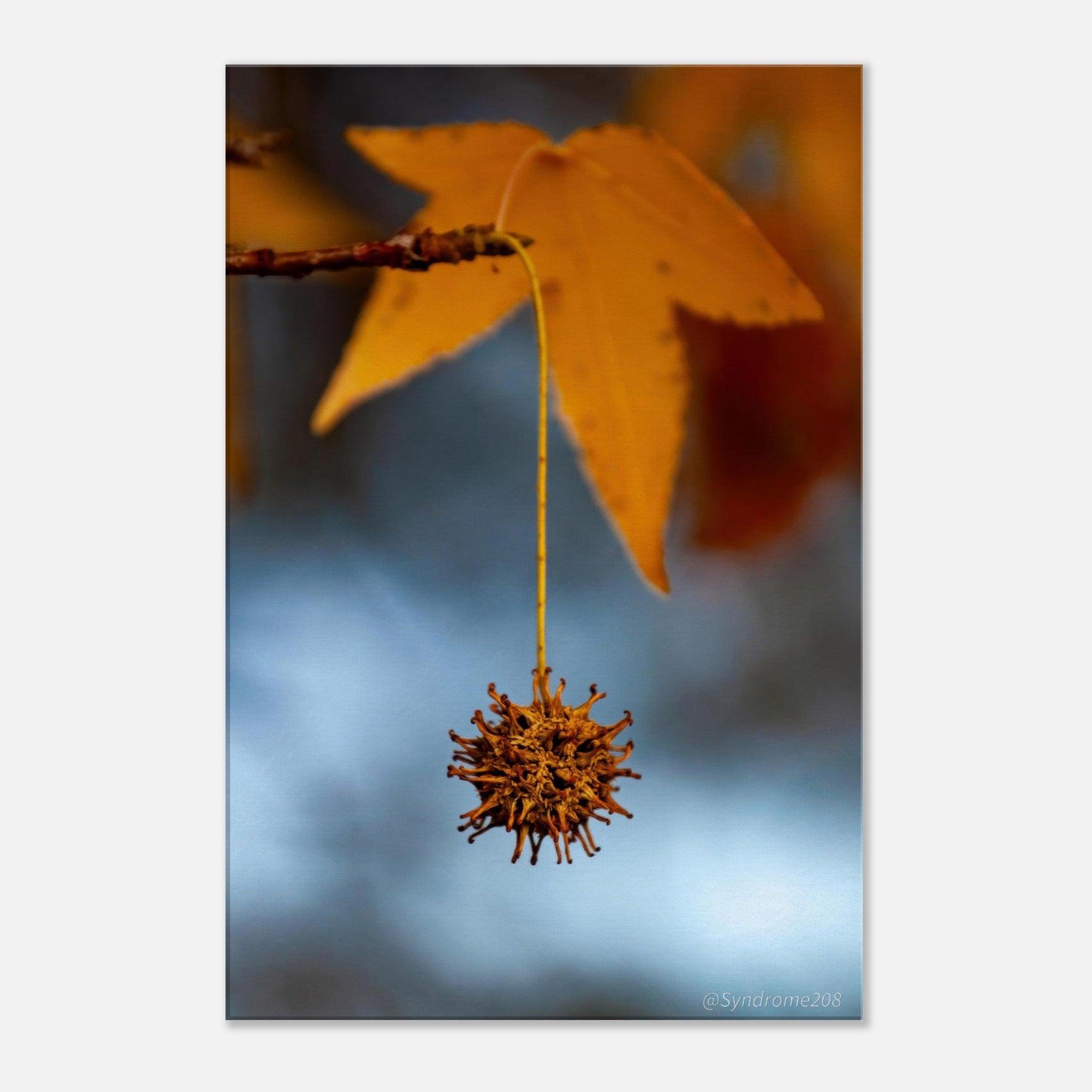 1fc19945-7946-4e1e-a2c0-3cf8ec71a922