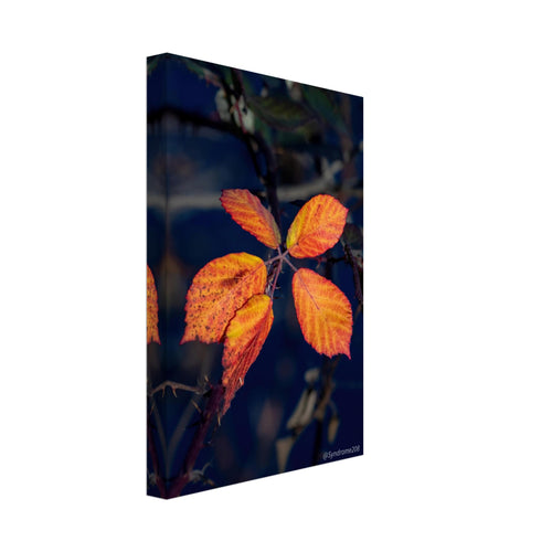 21d0e035-484c-4b3c-9c0a-9390c9d9dcc4