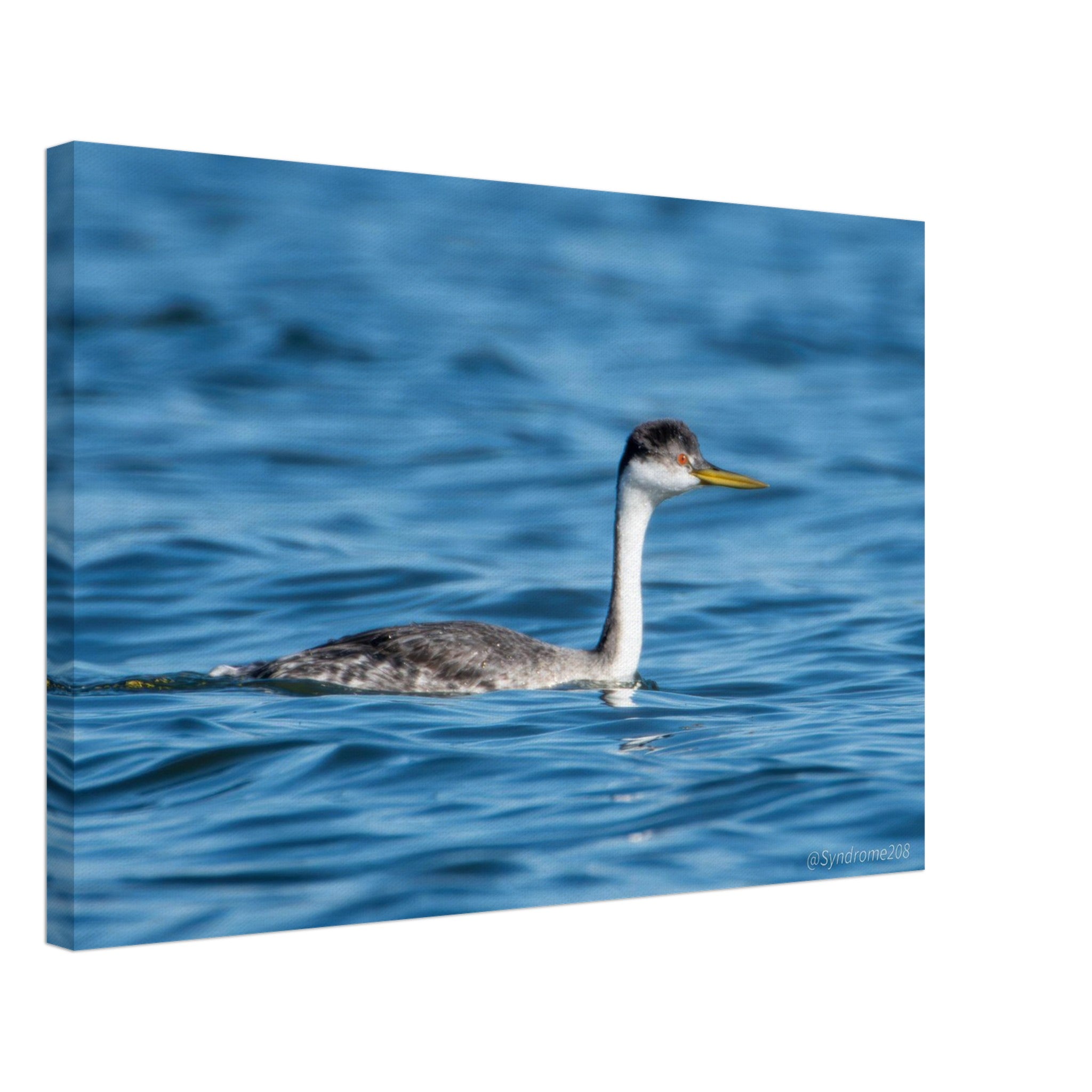 21d8f736-4406-4281-9688-051f08893490