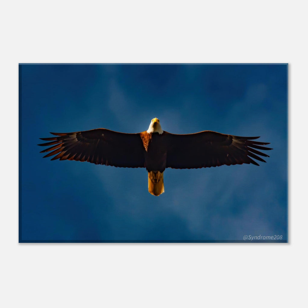 341189e0-94d1-4598-b34d-74bb39a200f1
