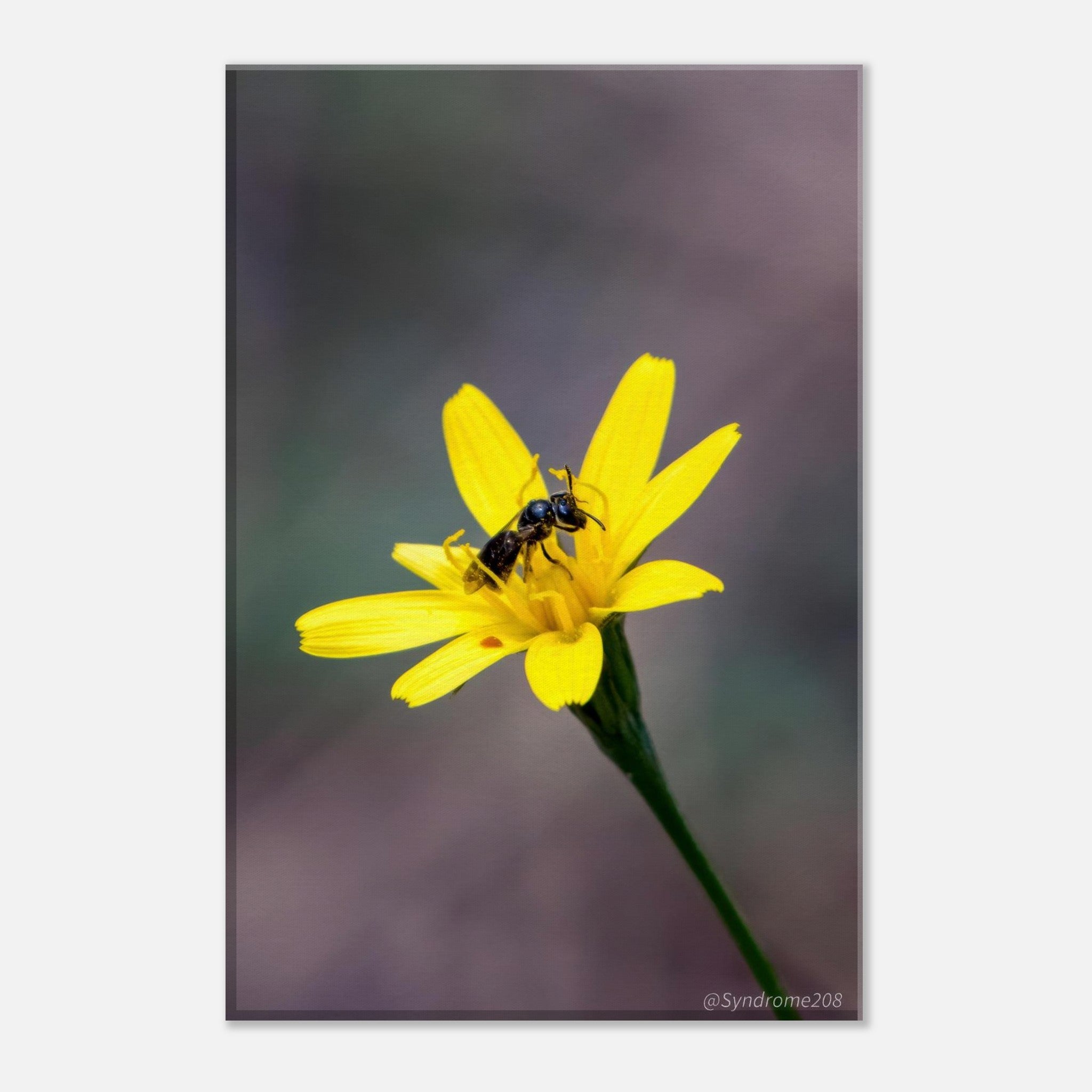 463b6cea-9450-4c5d-800f-2fd1ef3deefc