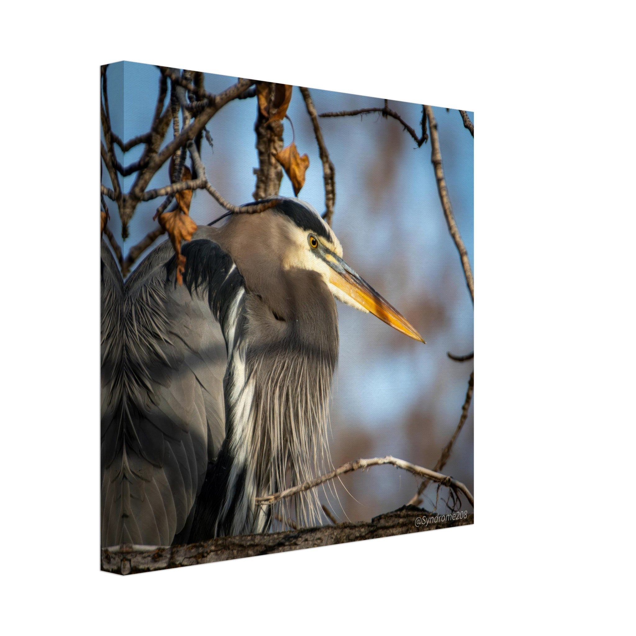 470f4f4f-25fc-4c41-b33f-deeecded5789