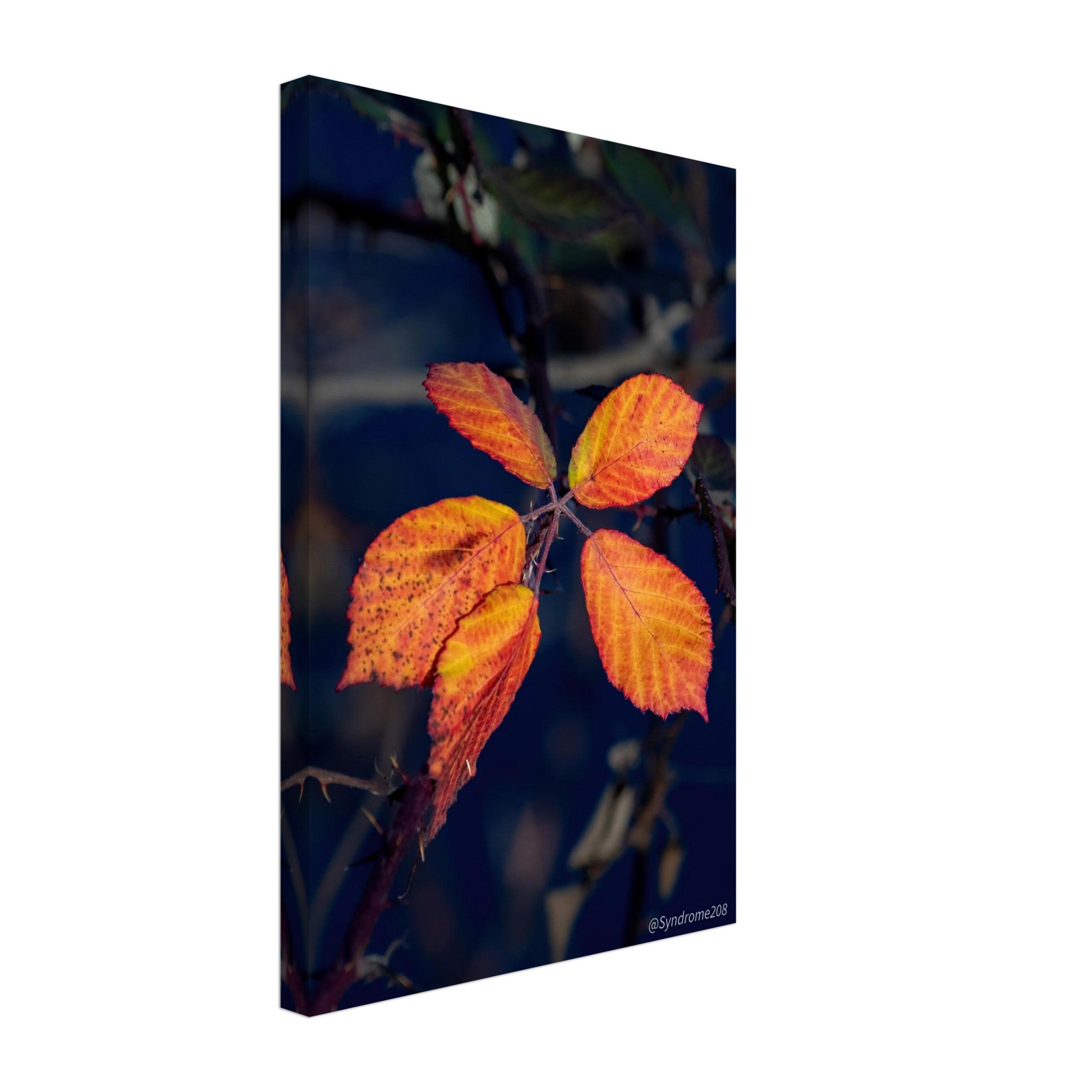 48b7e528-531a-4193-85de-1f54f66161fe