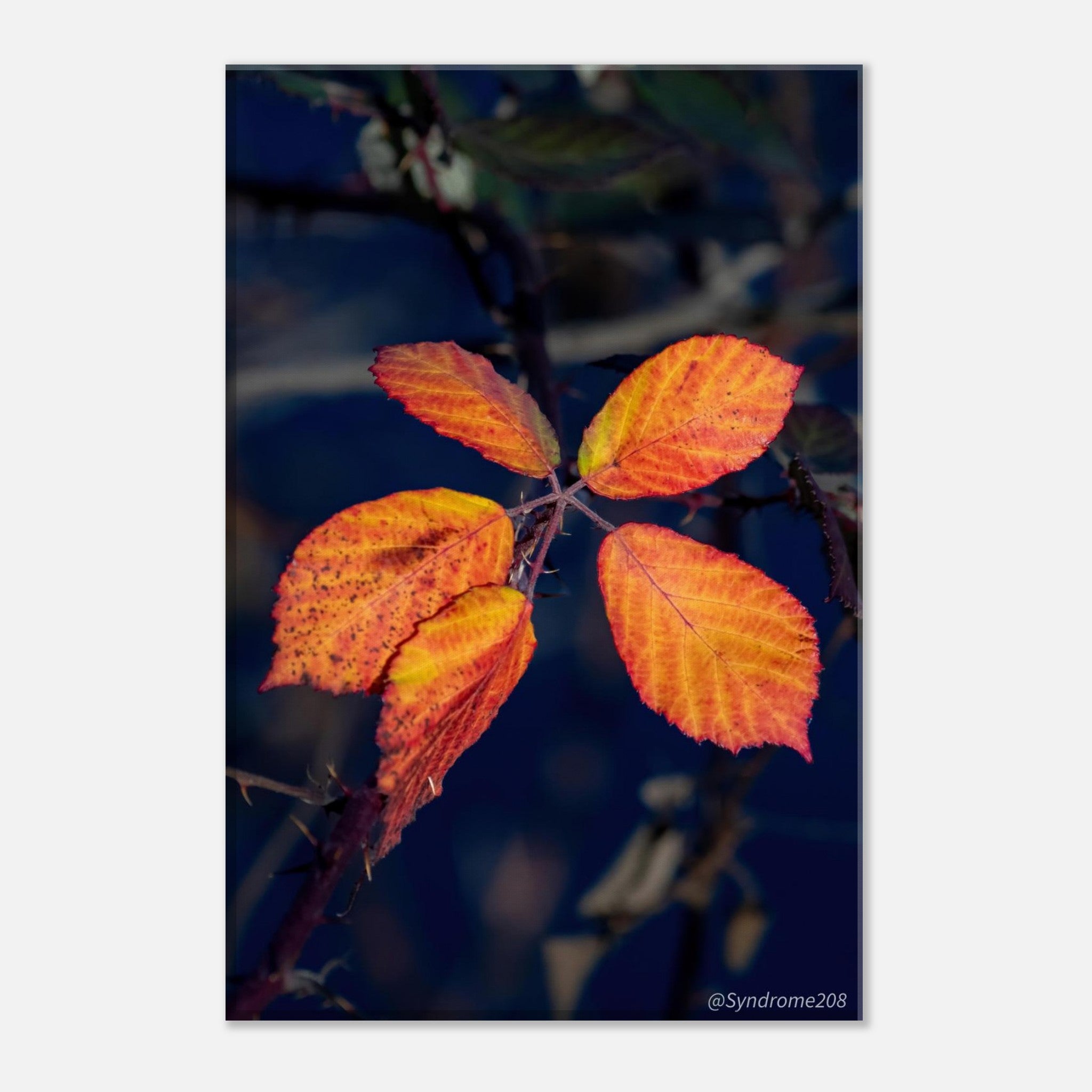 496b3cc8-9fdb-4d09-be9f-5cdb0d23f2b2