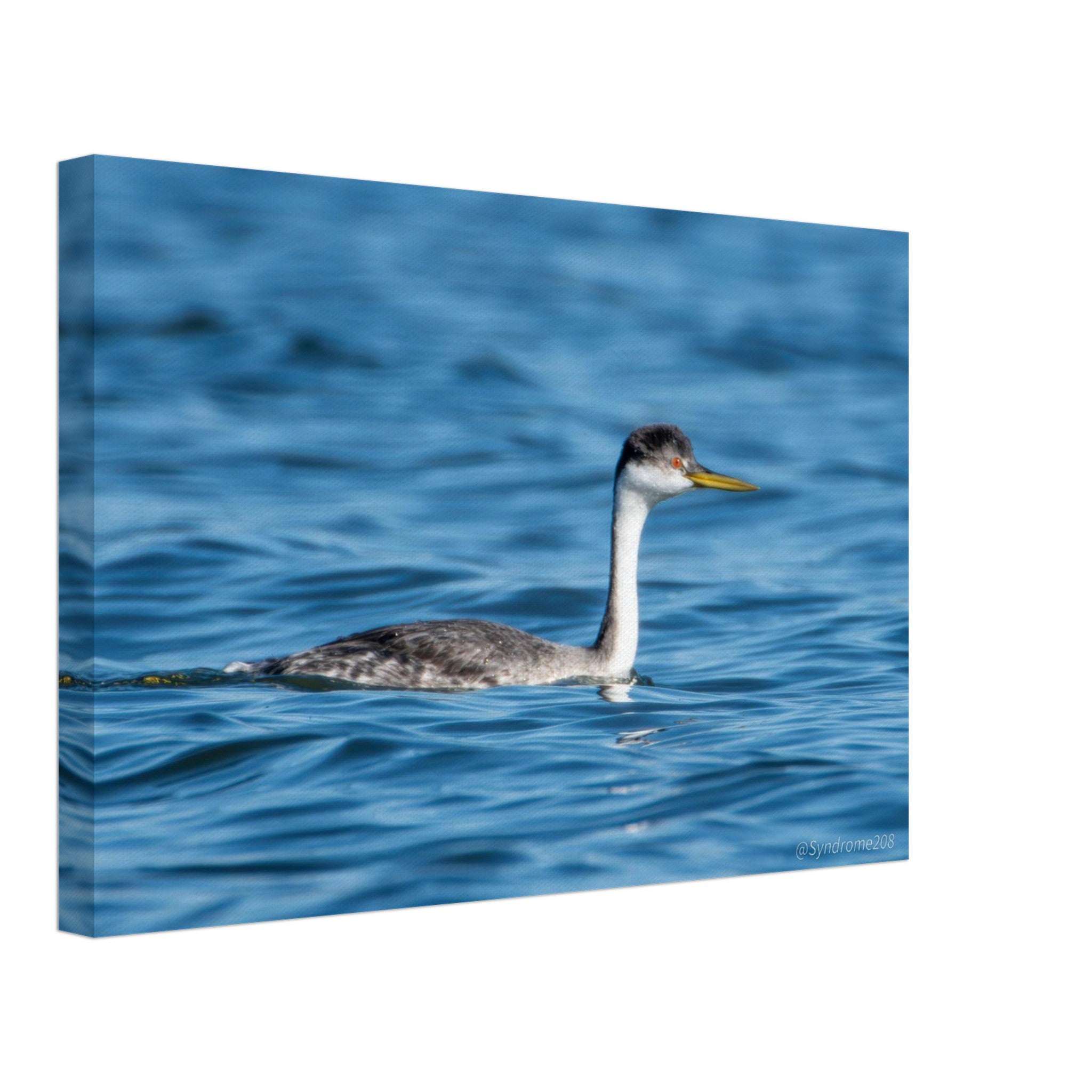 4df43e0a-a932-45b8-86d2-6491cce526fc