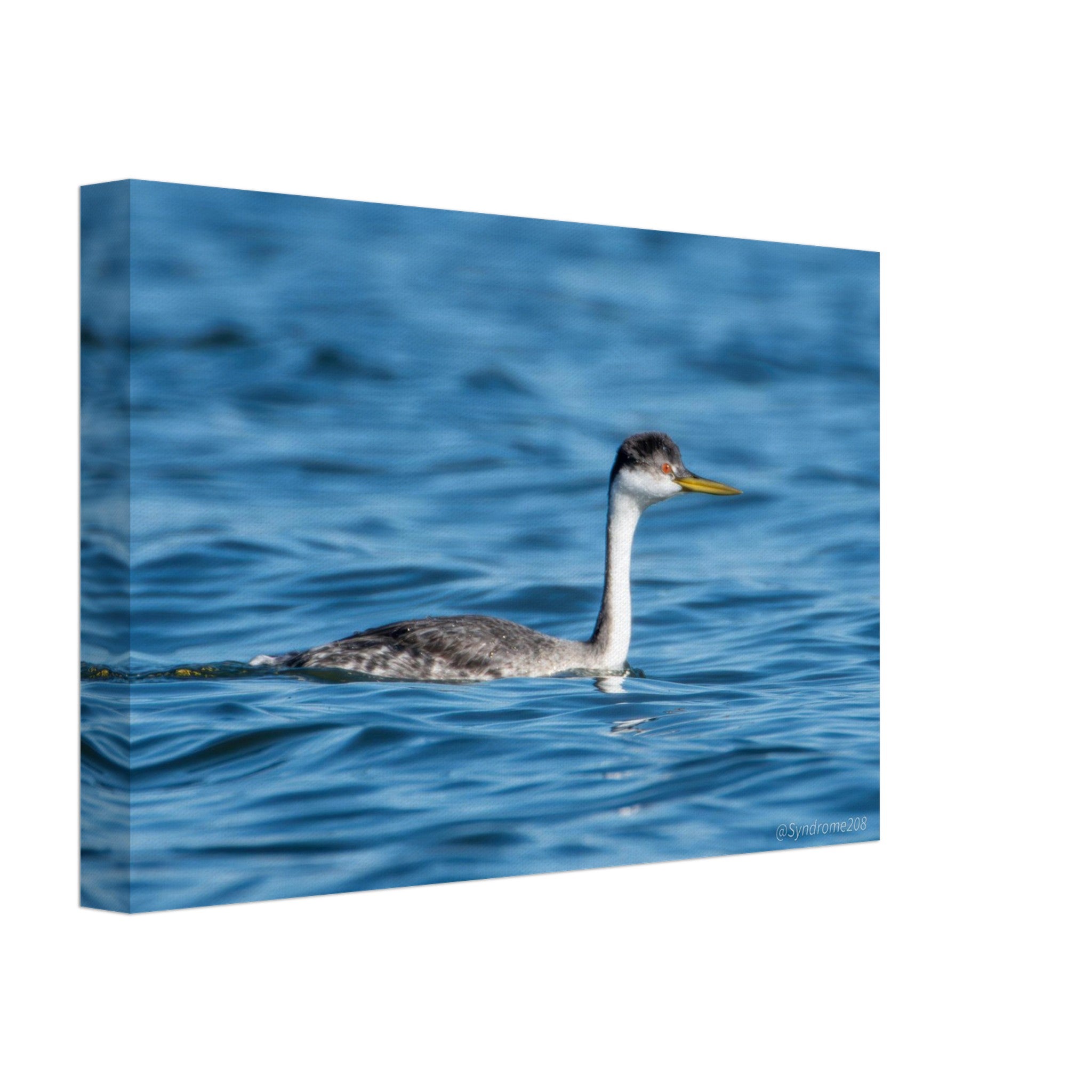 4eb1e5bb-c8a9-4fec-9357-06f7e8d8e398