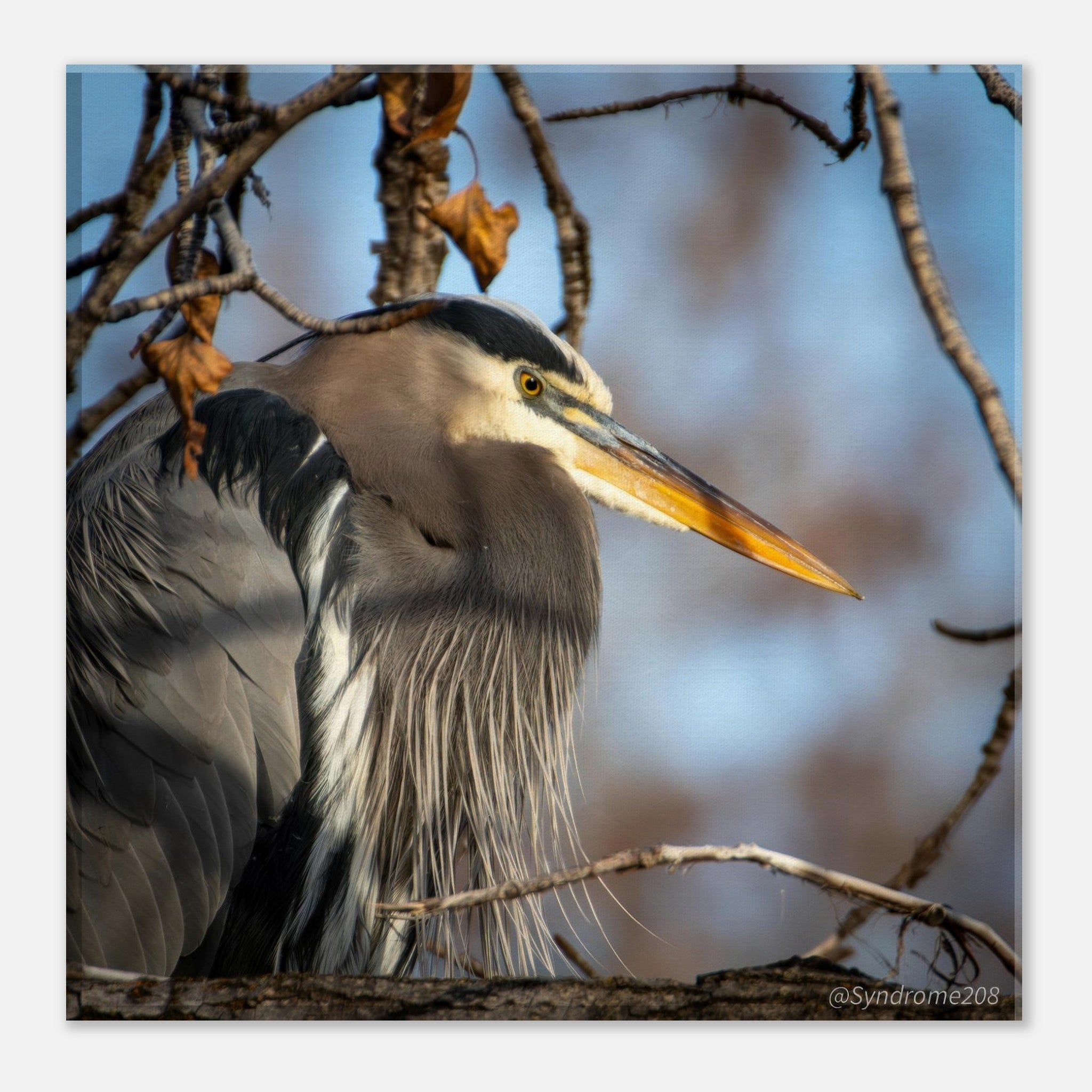 567f2001-92d9-4963-9fd3-66f7473a98e9