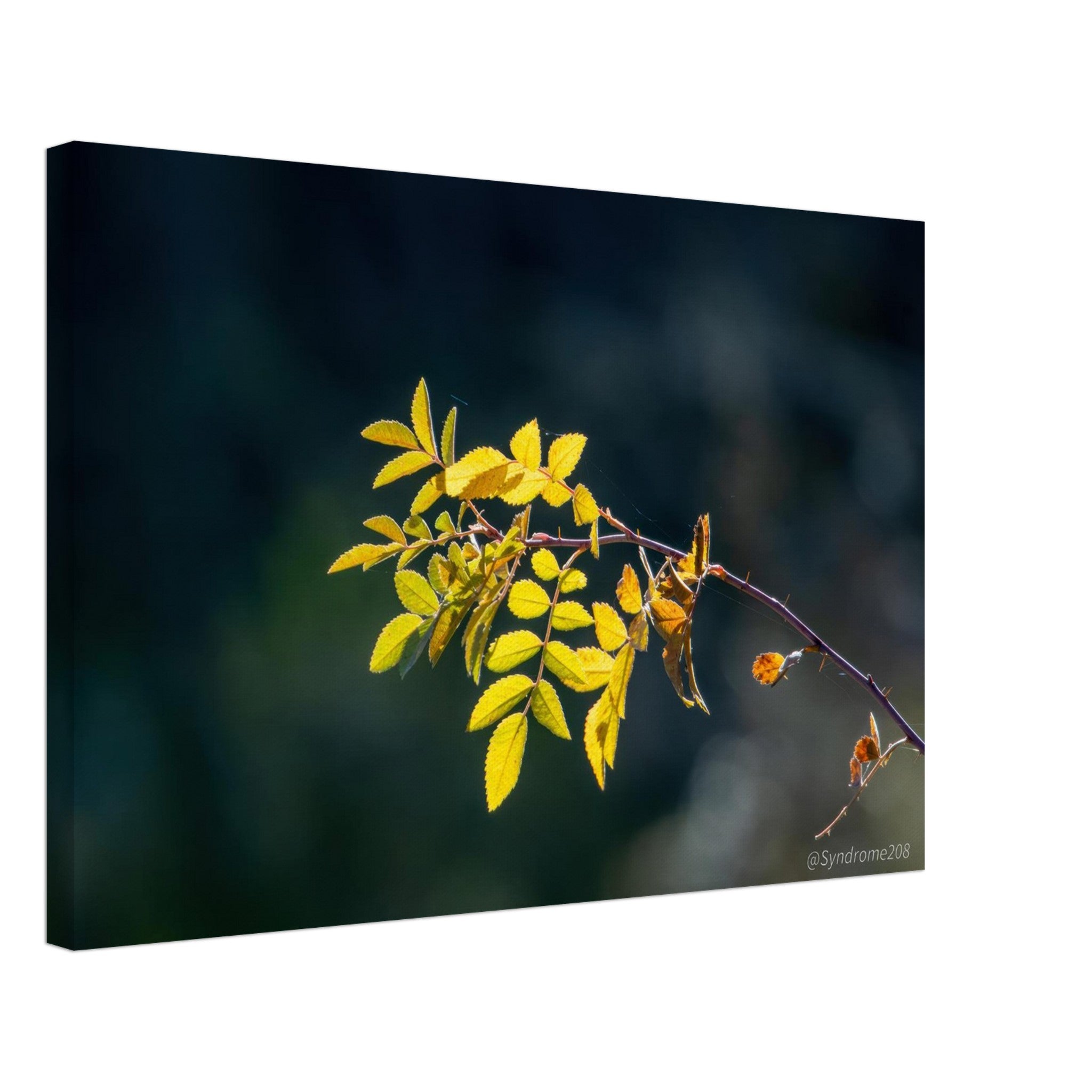 64b122a1-ce58-4d4c-97dc-84cb452d6981