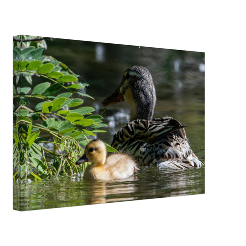 69a6f9bc-005b-48f3-a45b-93d40bd5d5eb