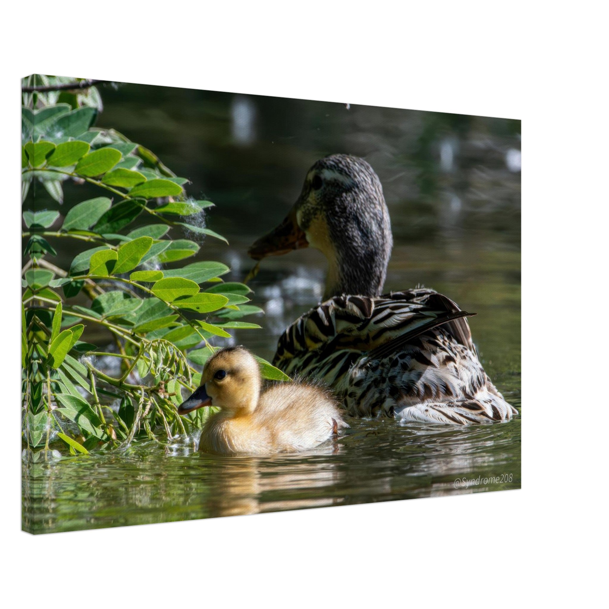 6e2a507e-57eb-4408-b065-7514b362fe9f