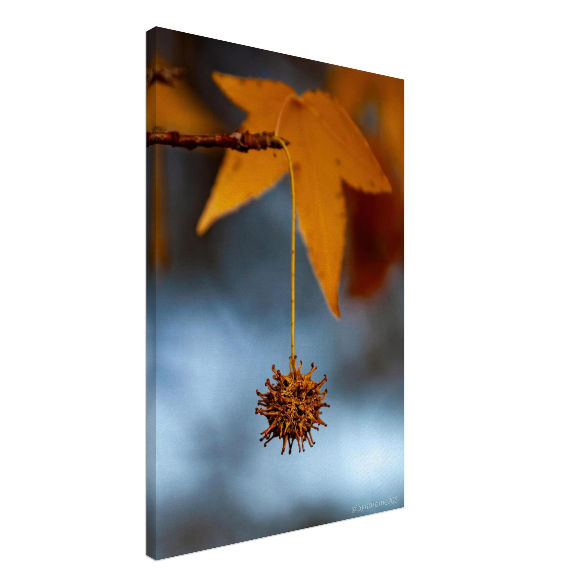 7a0b6cad-4271-4a04-8fa5-90840e546bfe