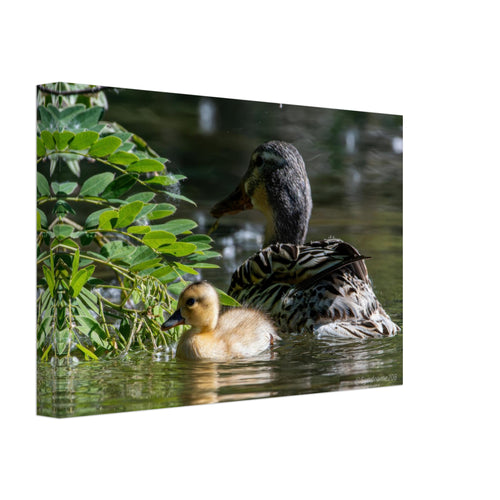 7d052b11-0616-4829-ab7c-3a77ba7e43dd