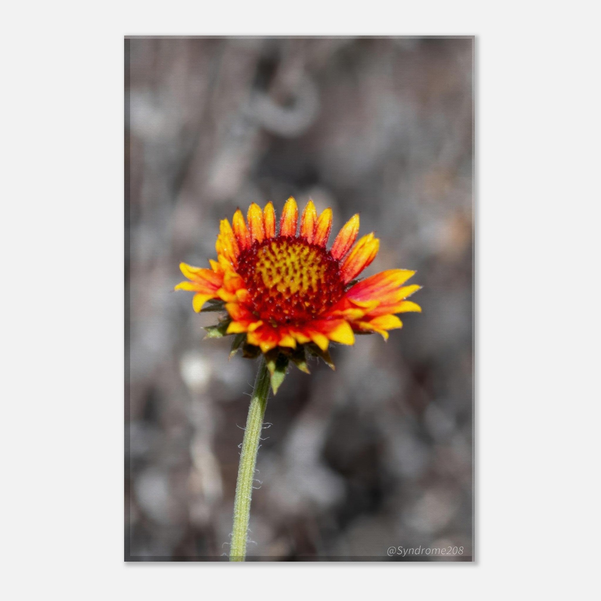 8139cec8-ca01-4dc9-b2bd-78f51769ee0a