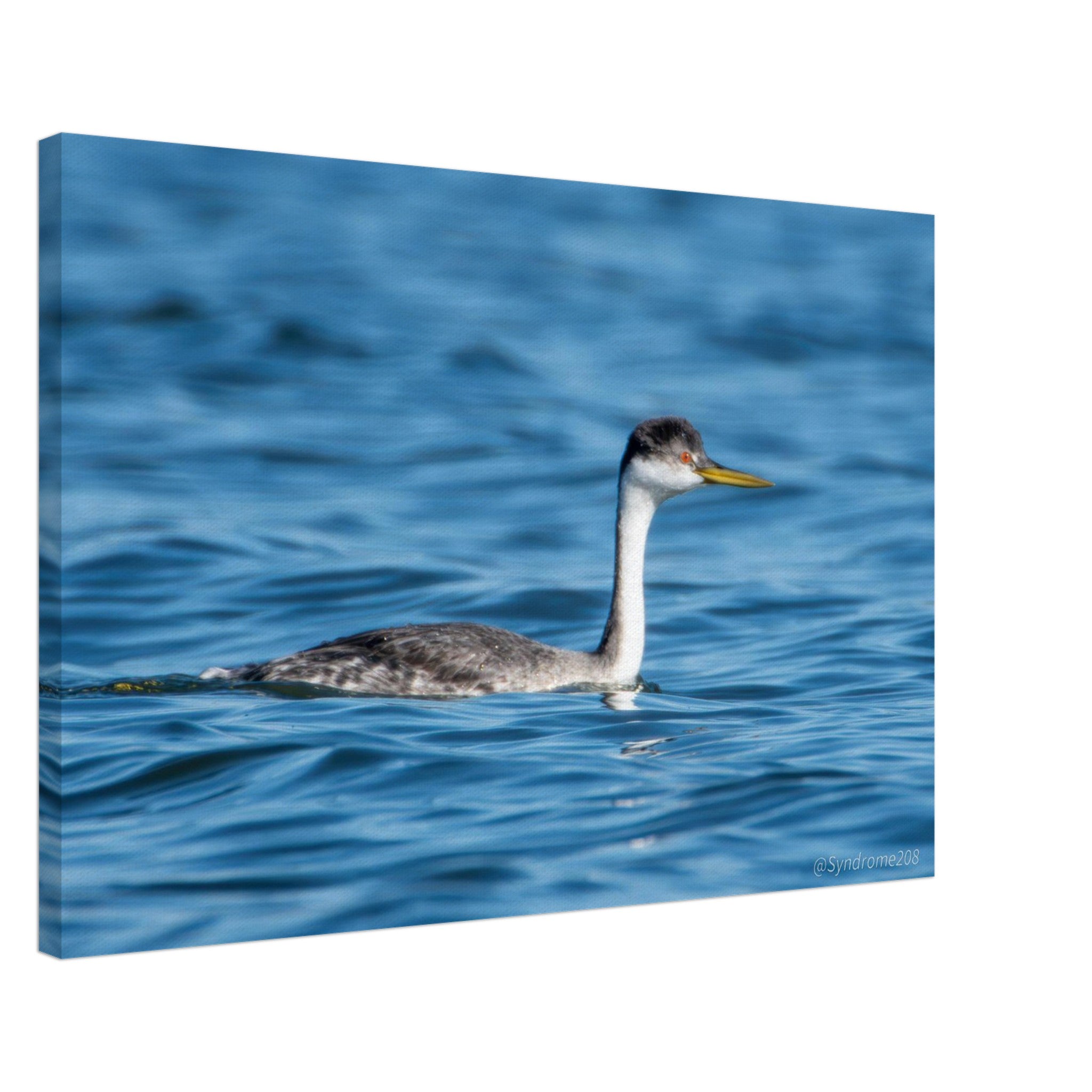 858553a9-512d-43b3-b684-6c36e280159f