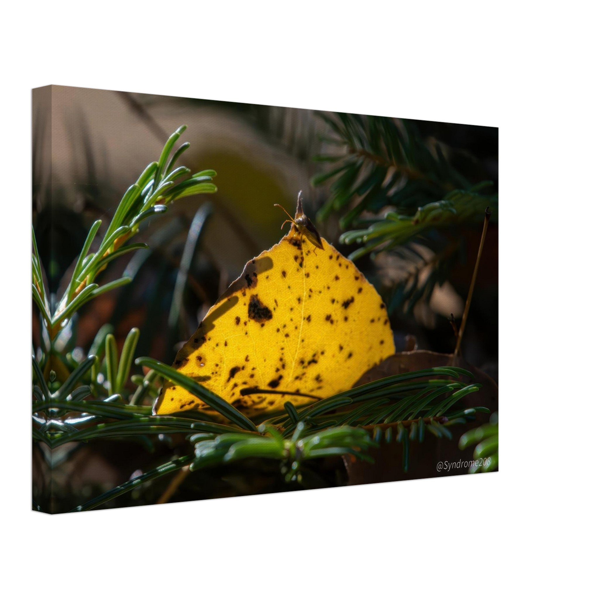 8be349d5-4454-4b8e-873e-bc041b7c4541