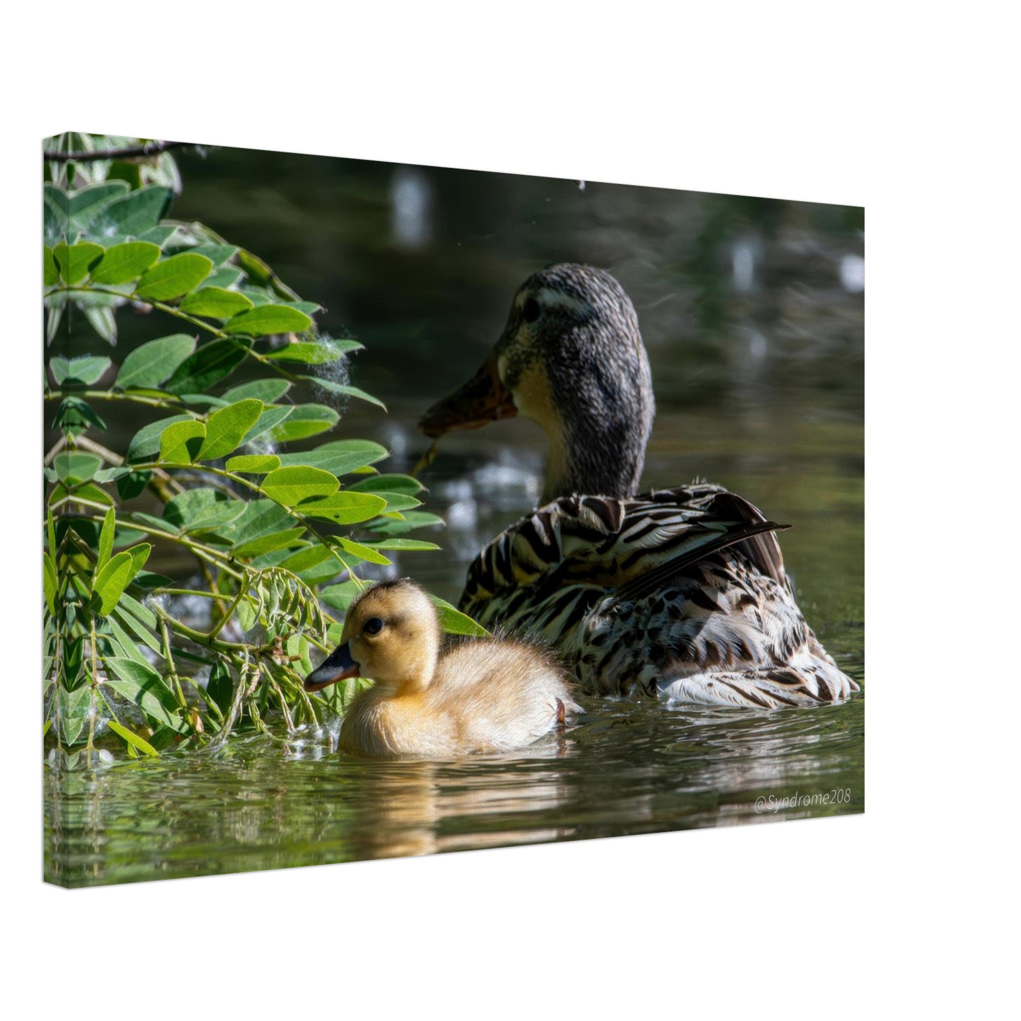 96bb1618-56d0-48c9-9676-88647b4386eb