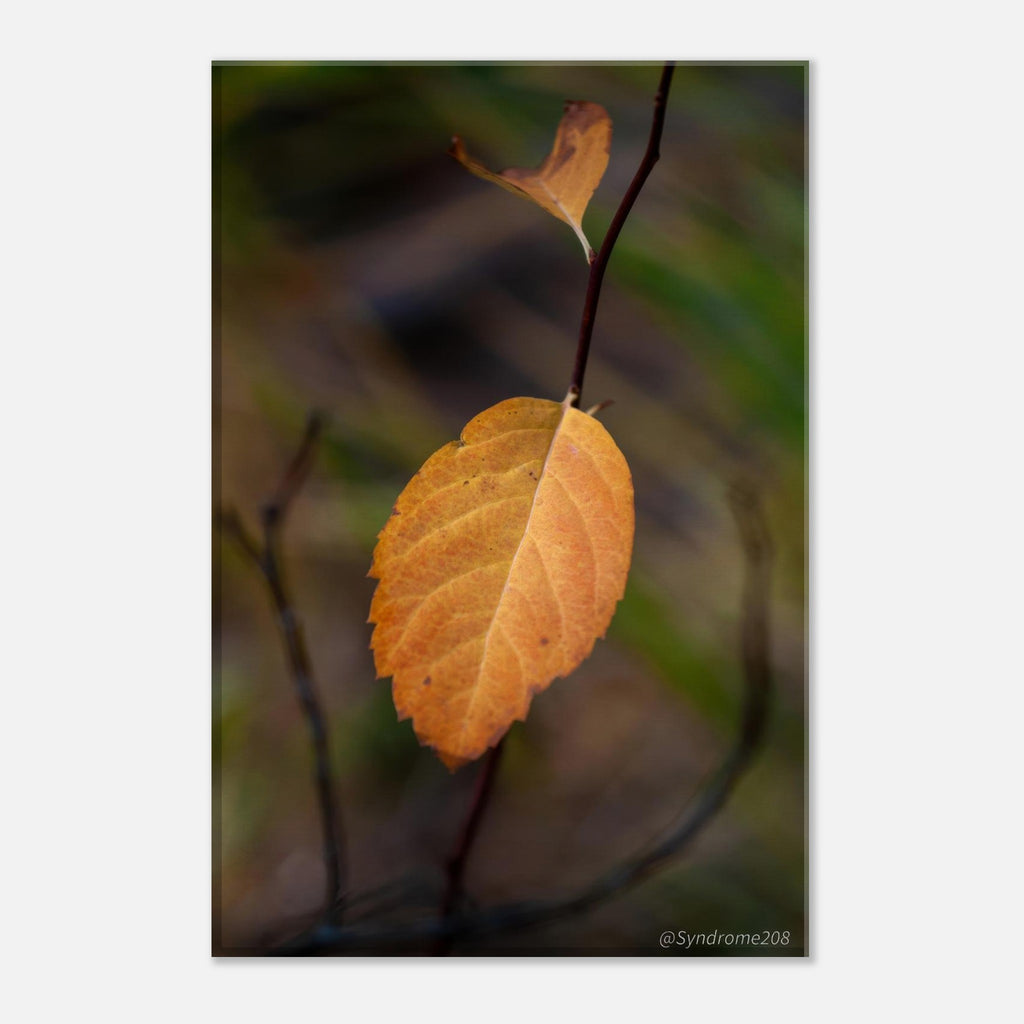 97c84953-d7c5-4b4b-acda-b4479bba62ed