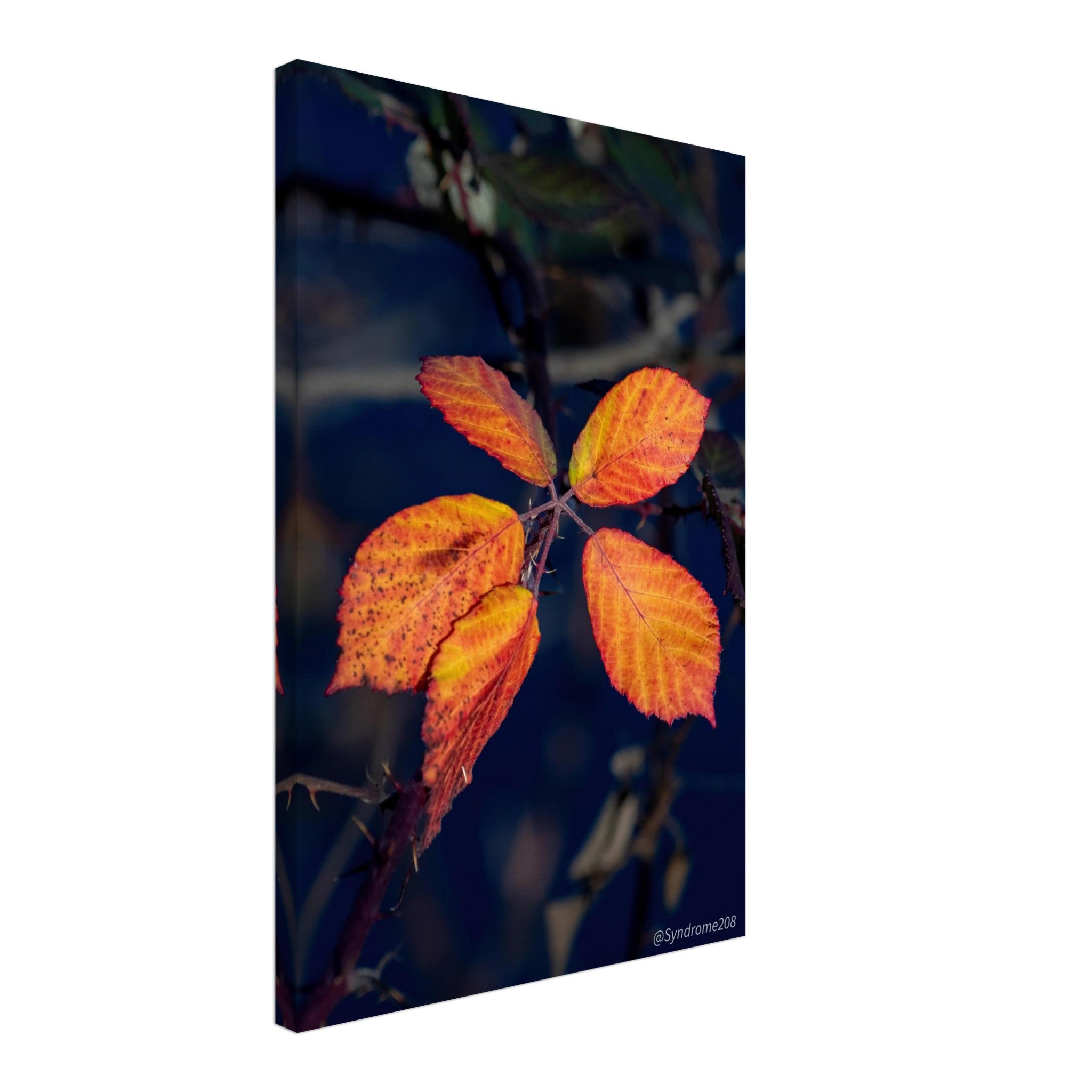 9ad5d8ed-af99-47e0-a1c2-69422600dbc0