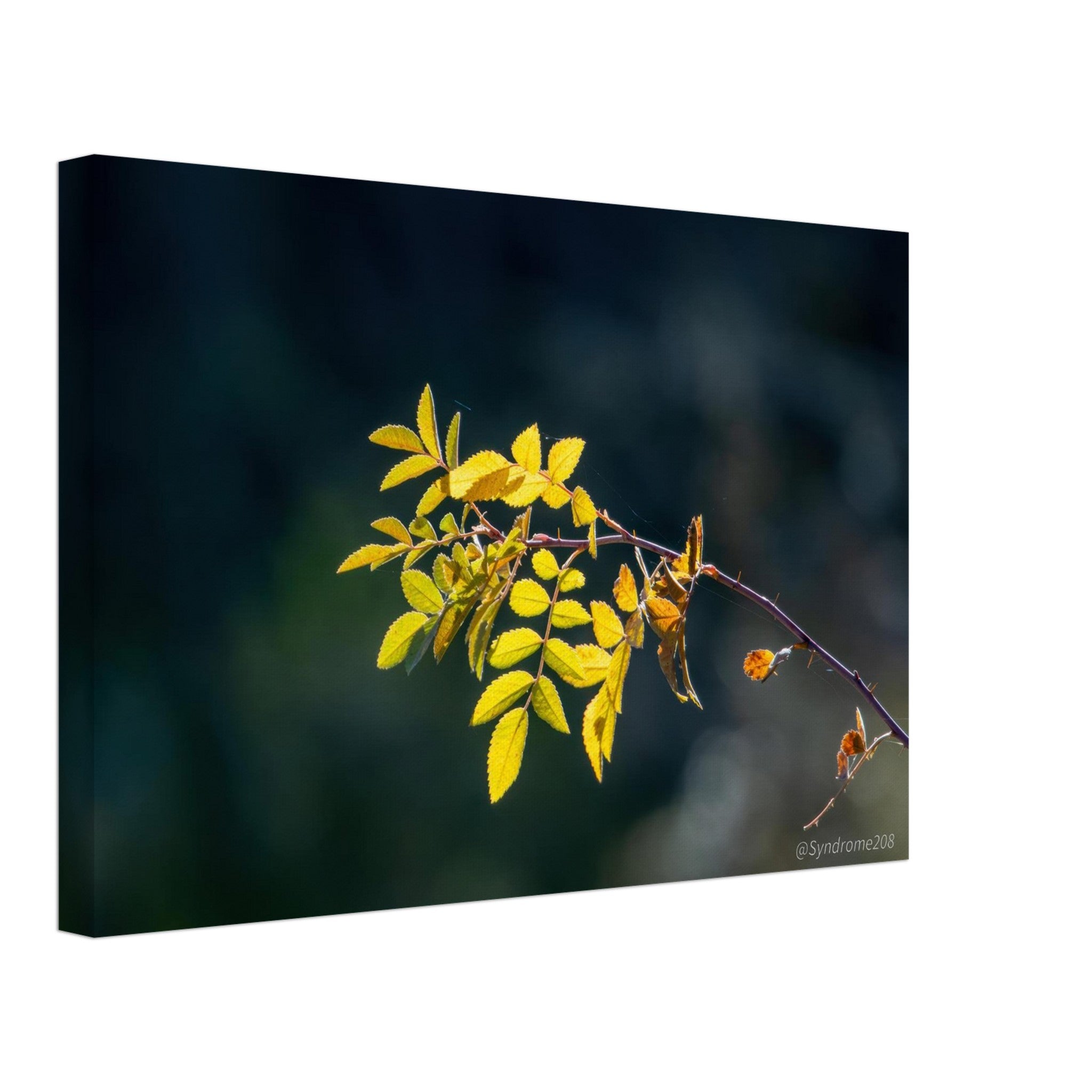 a30e5aa1-9734-4967-b0c4-9daa202f46a7