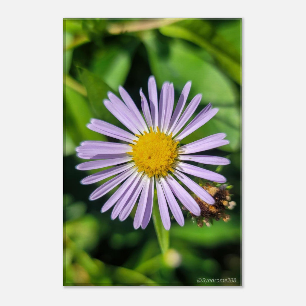 a88bb50d-be56-4125-b3d8-dfb17a948653