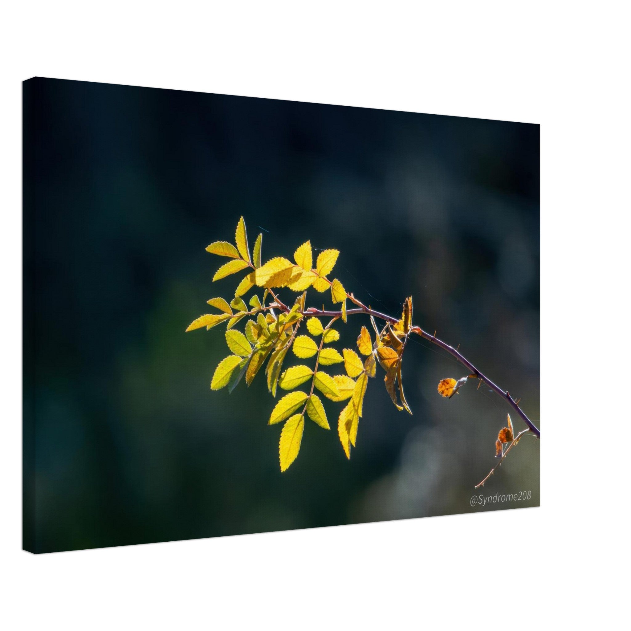 b26e66cc-5d39-4758-a252-e606e3afcd0c