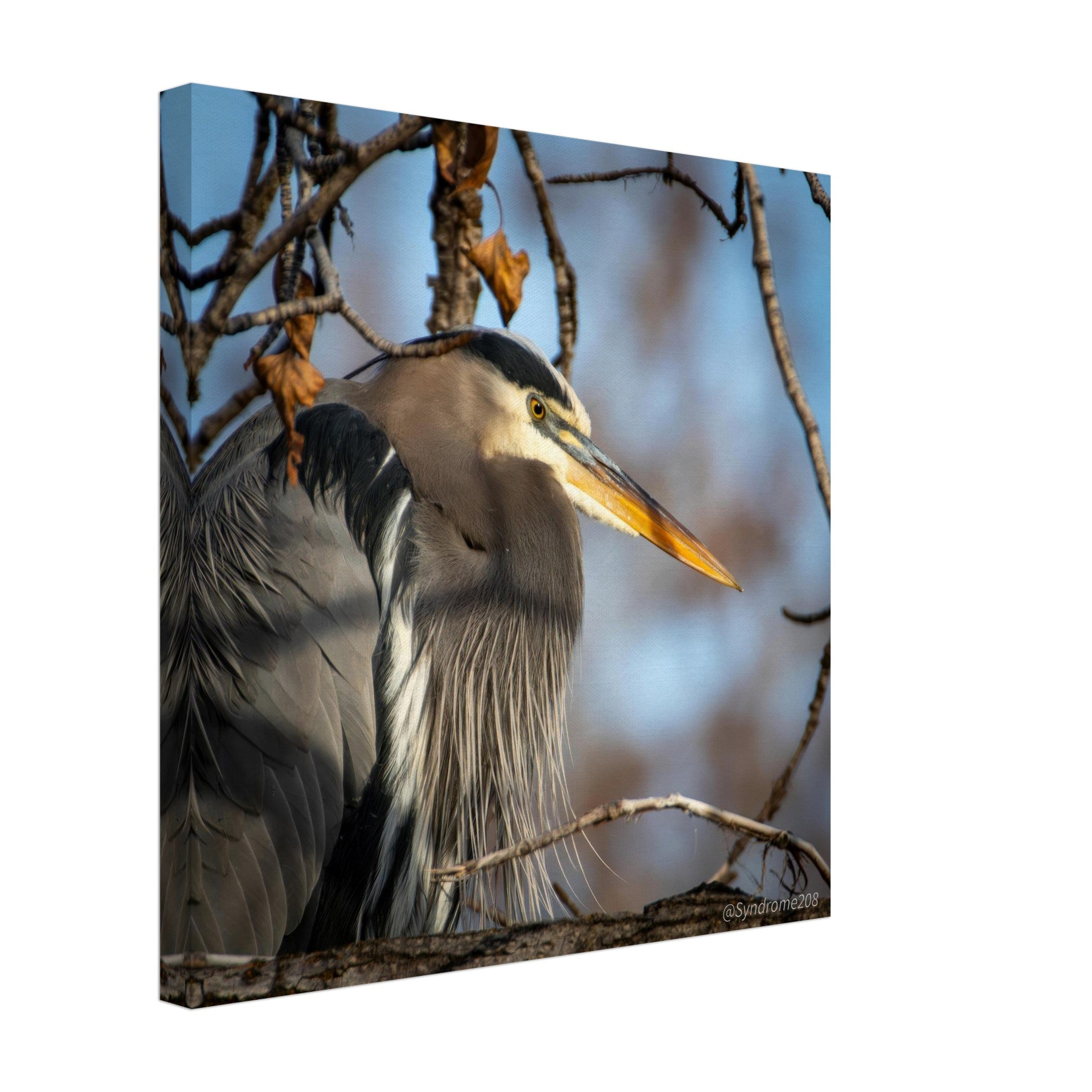 be49ee1a-5899-4591-8988-860b6cb12c2e