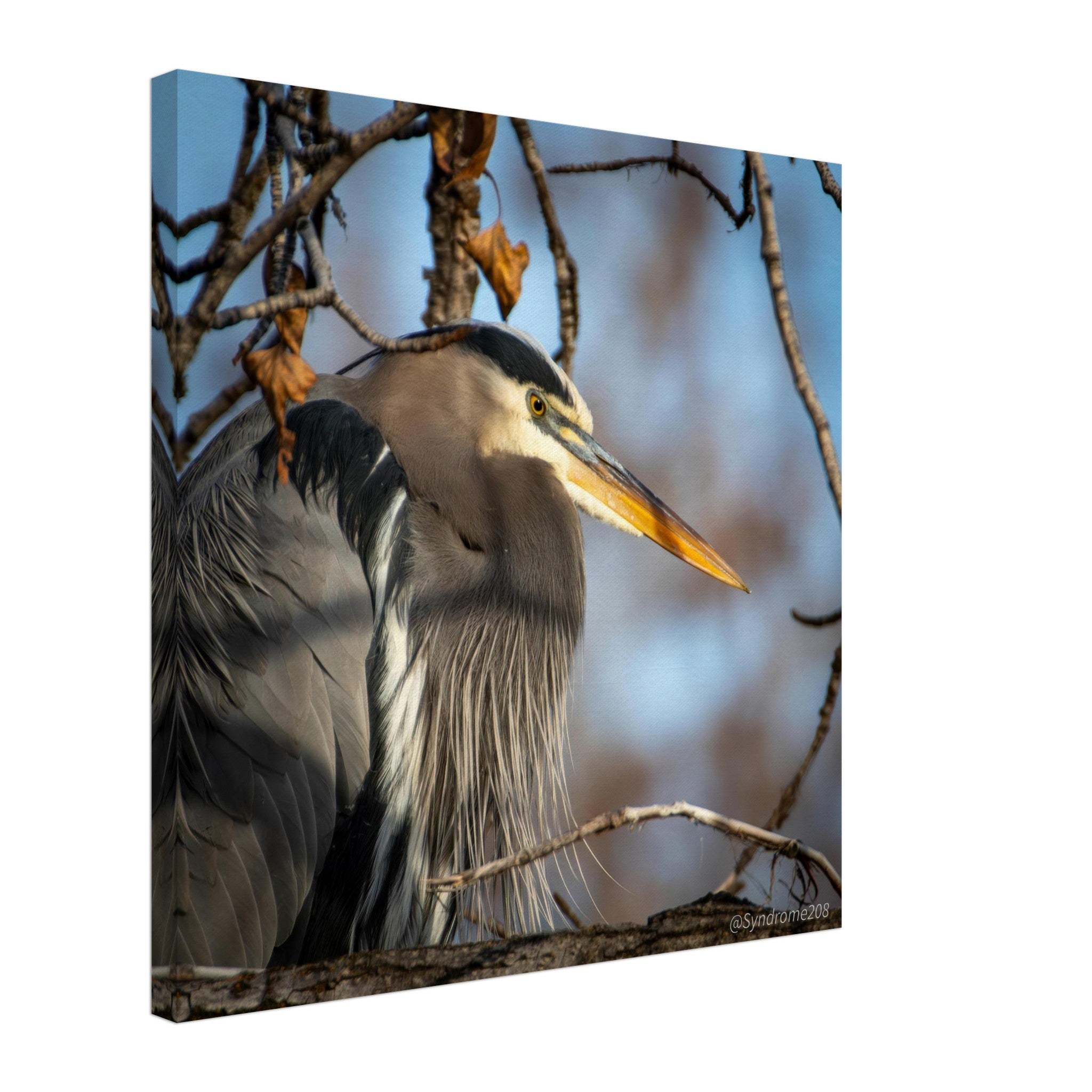 cbe827f6-7be3-4bb8-98fe-0208728f13ca