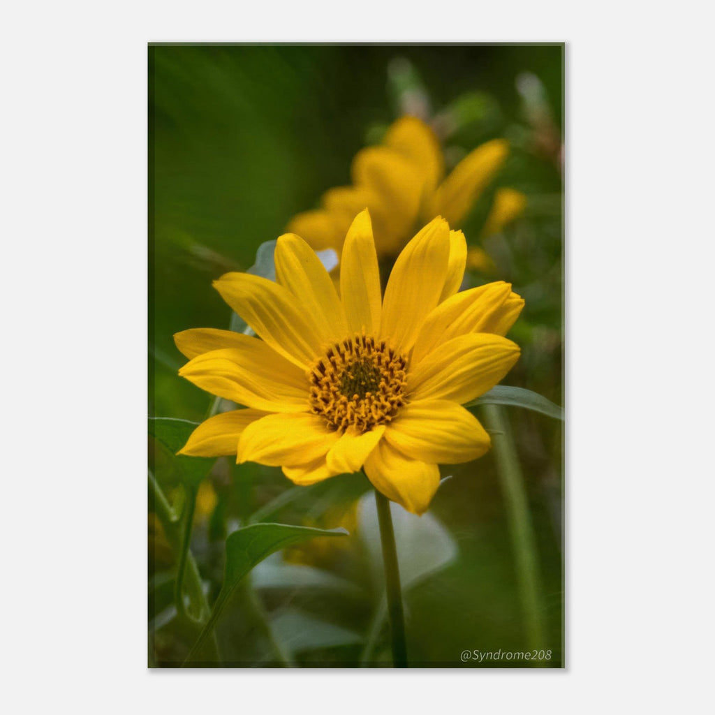d898776f-4231-4a56-975b-8e0128c5b0ba