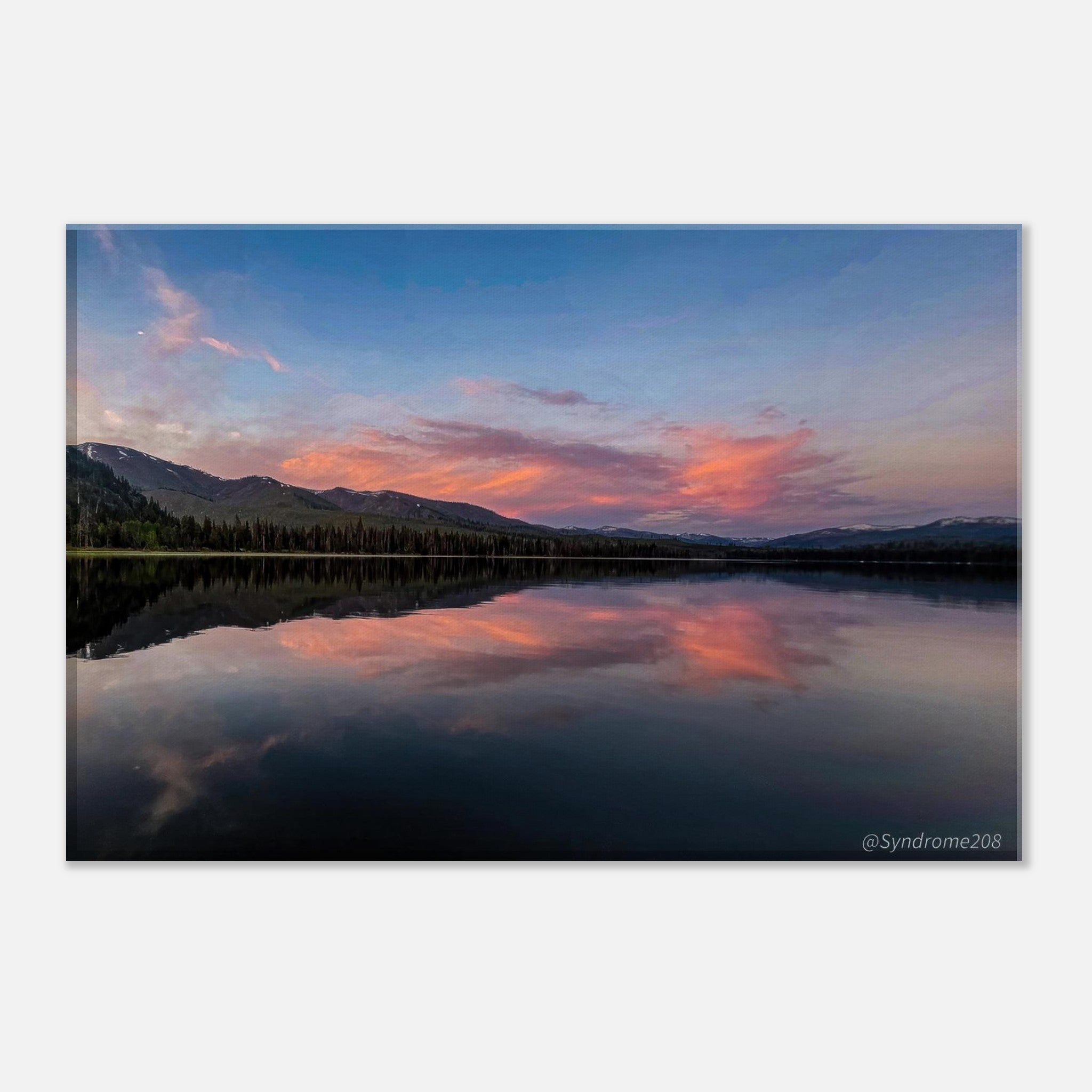 ddb7bc5b-a8e5-409e-91e4-78d0ac09d3a1