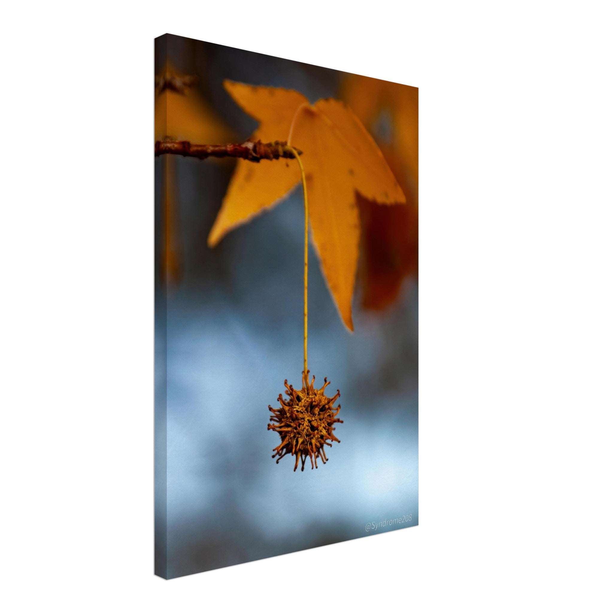 e7e74180-d8c2-4282-a04c-eb0b3a634f72