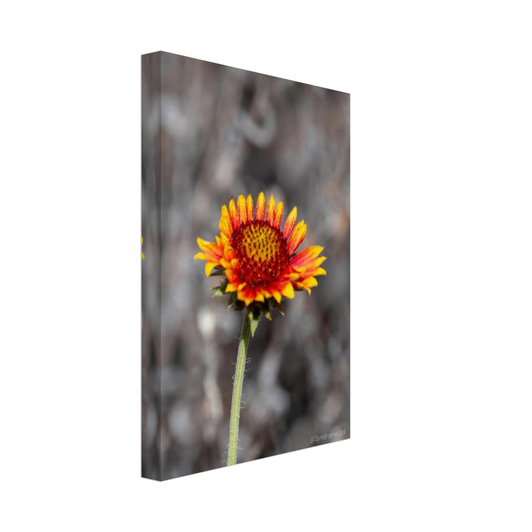 eecec44c-6401-406c-bc8a-8bb890873967