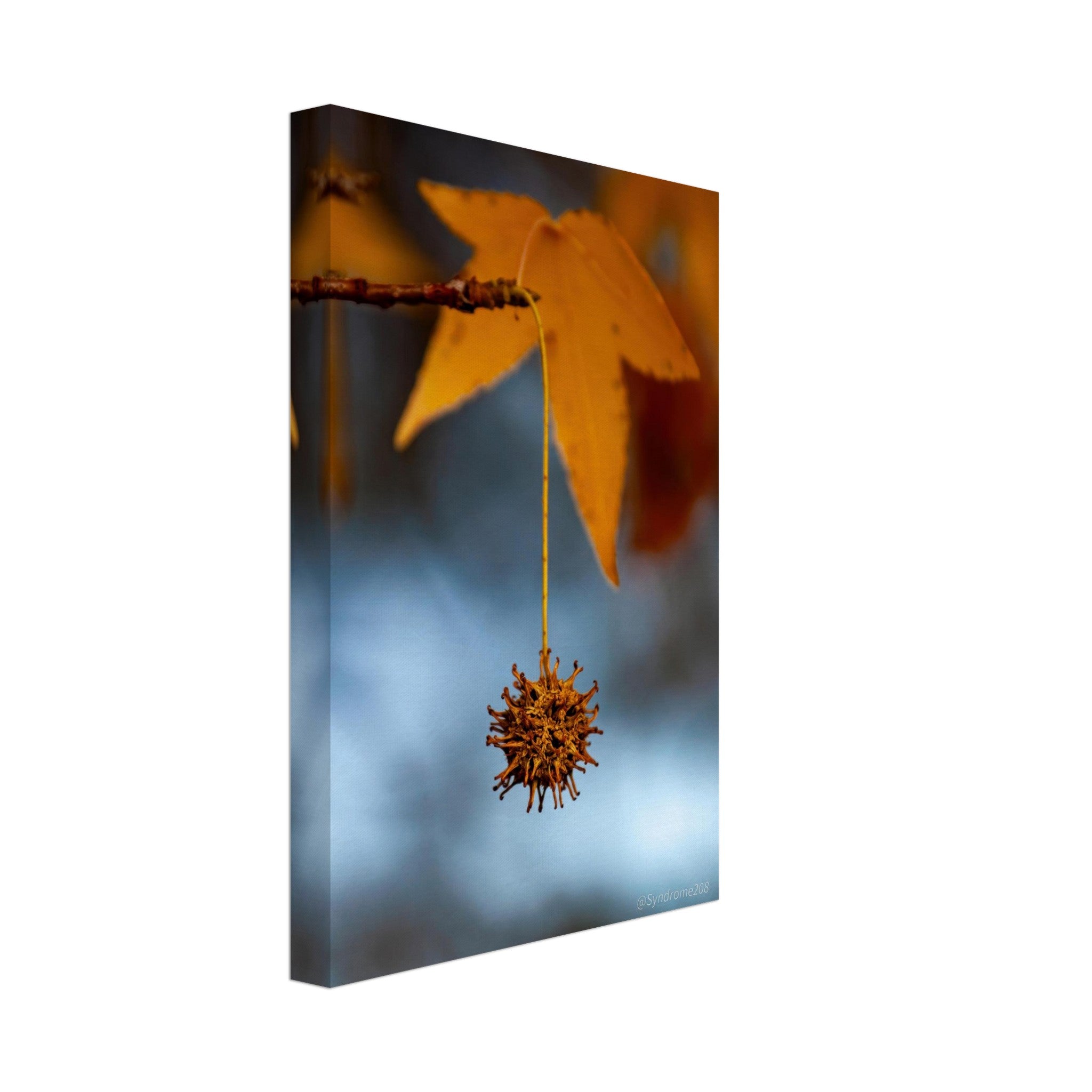 f2ecc3be-0ad6-4f48-b7d7-54d3c1d592ad