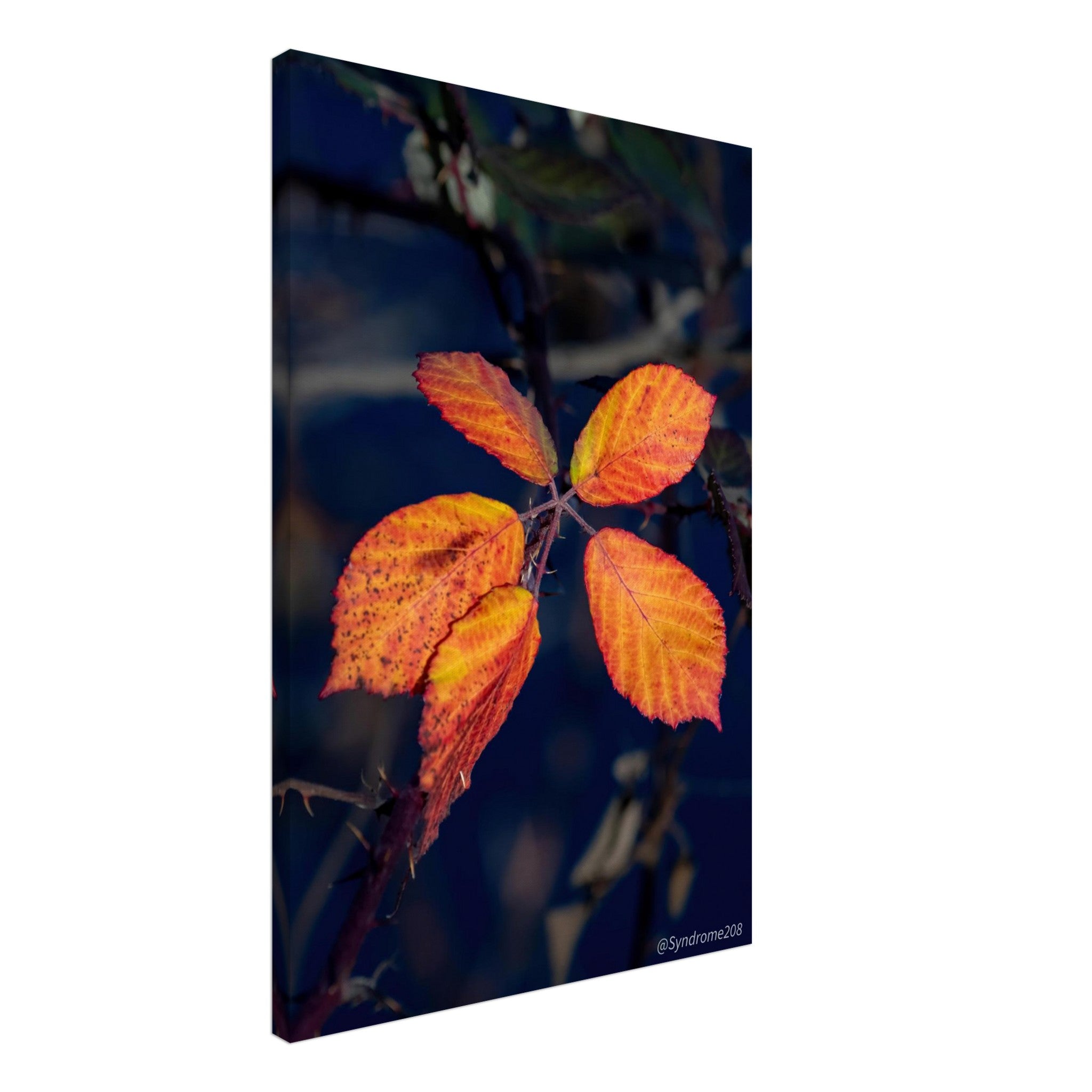 f748d980-8f54-44c2-a6ea-34e5bdc0b00c