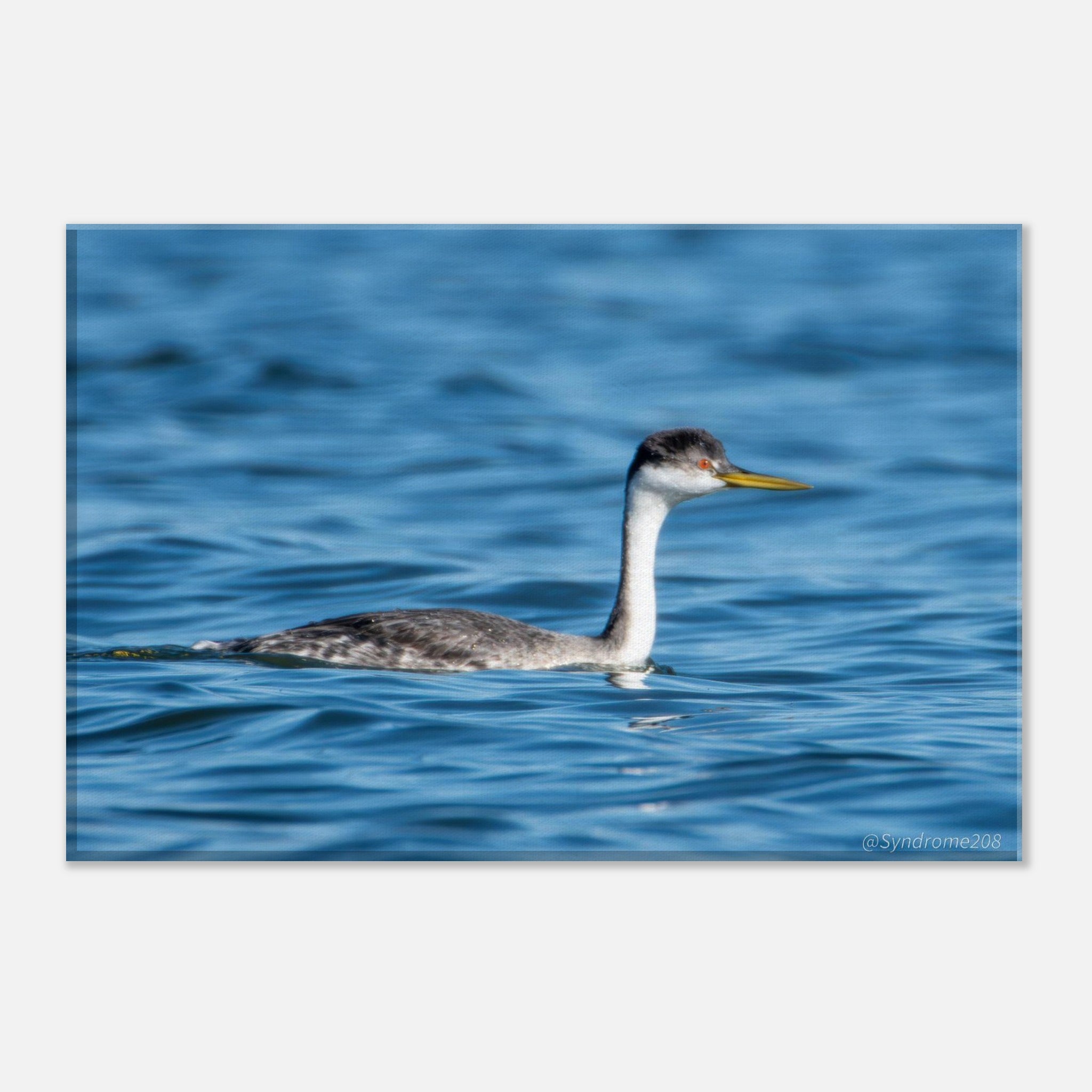 f84f8db9-877d-4b1c-8340-c55f5912da04