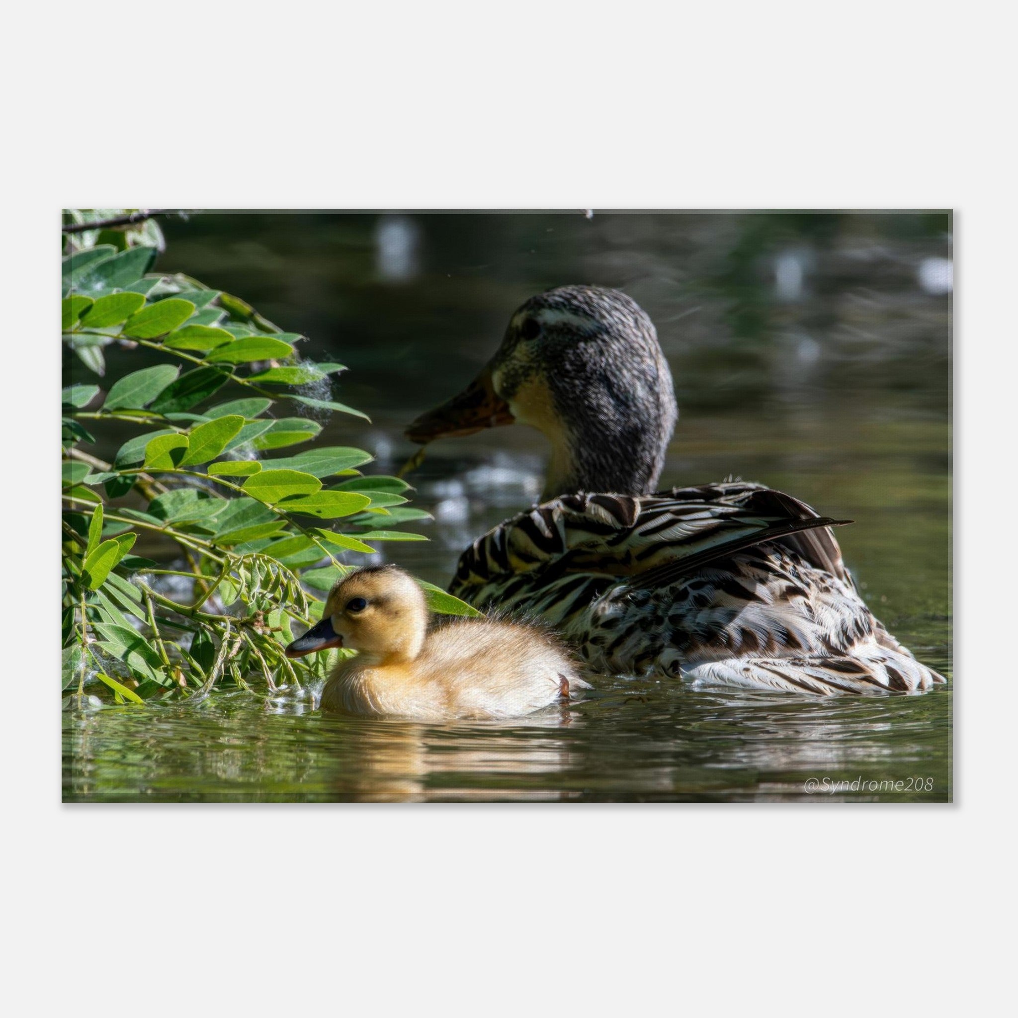 fa251621-e082-4a4a-ace8-150d45ffec0e